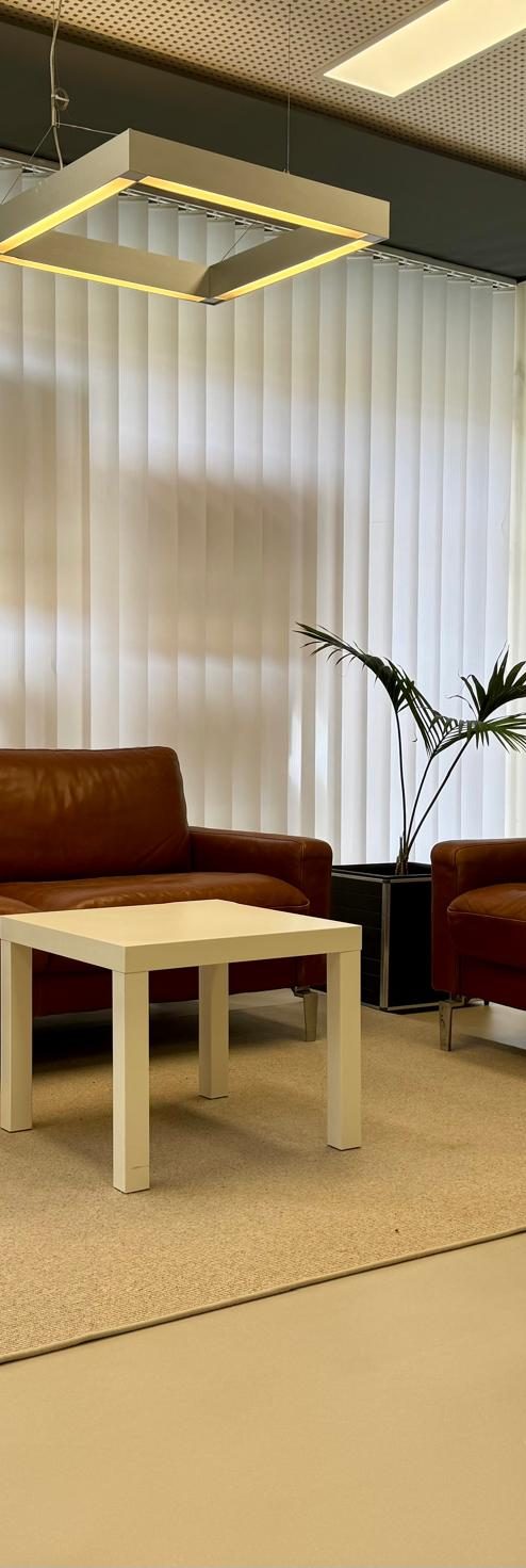 Ein Modernes, Lichtdurchflutetes Studio mit einem Grauen Stylischen Zement Boden von Zementstyle. Mit einer Modernen Ledercouch